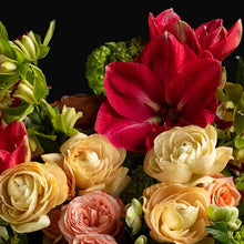 Load image into Gallery viewer, Designer's Choice