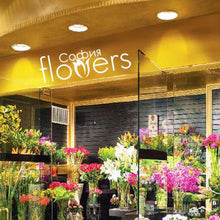 Load image into Gallery viewer, Designer's Choice